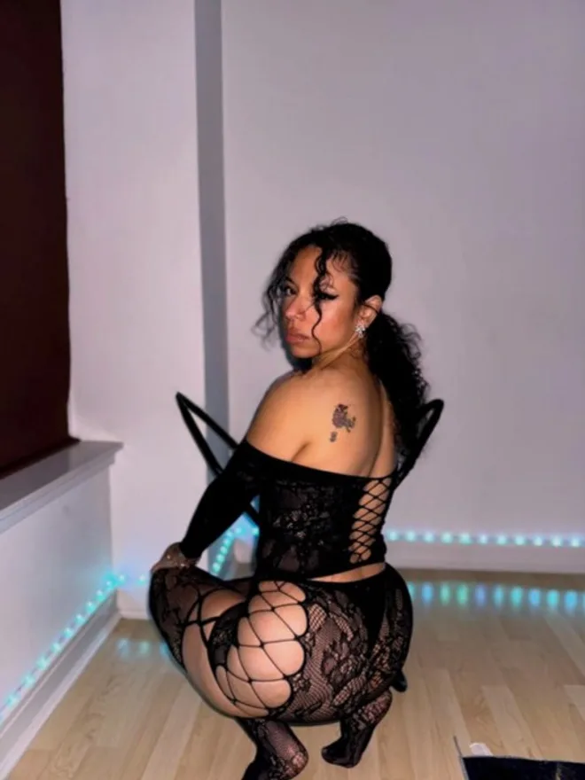 Piper